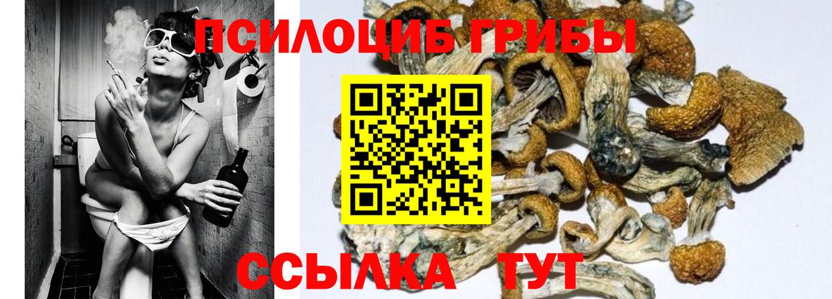 Шебекино  Псилоцибиновые грибы прущие грибы  Галлюциногенные грибы Magic Shrooms  Вход с VPN 